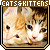 Kittens-fan! 